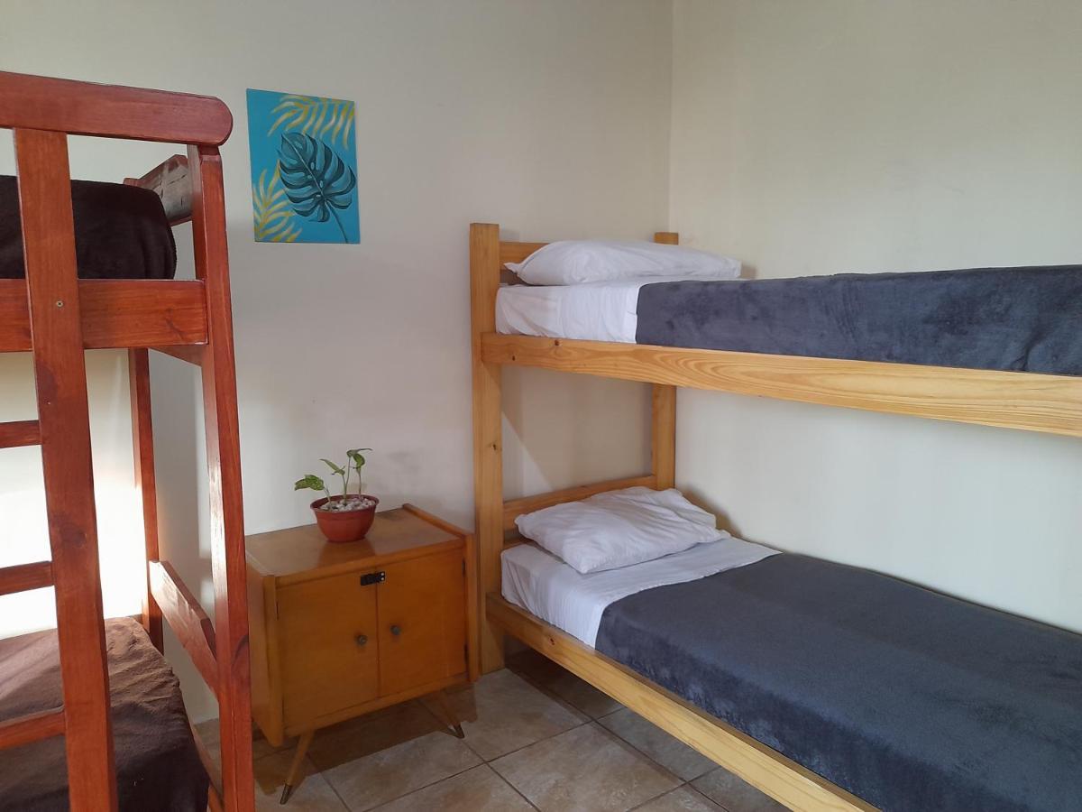 بويرتو إجوازو Eco Hostel Iguazu المظهر الخارجي الصورة
